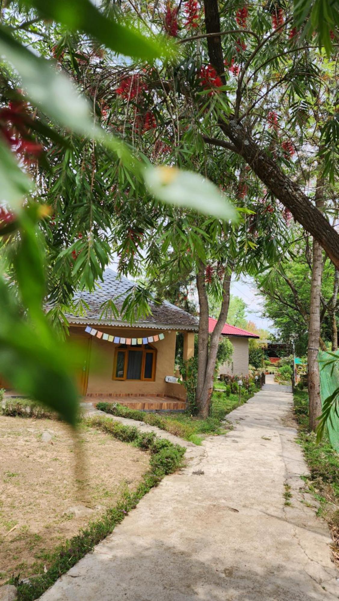 Namlang Resort Bir  Ngoại thất bức ảnh