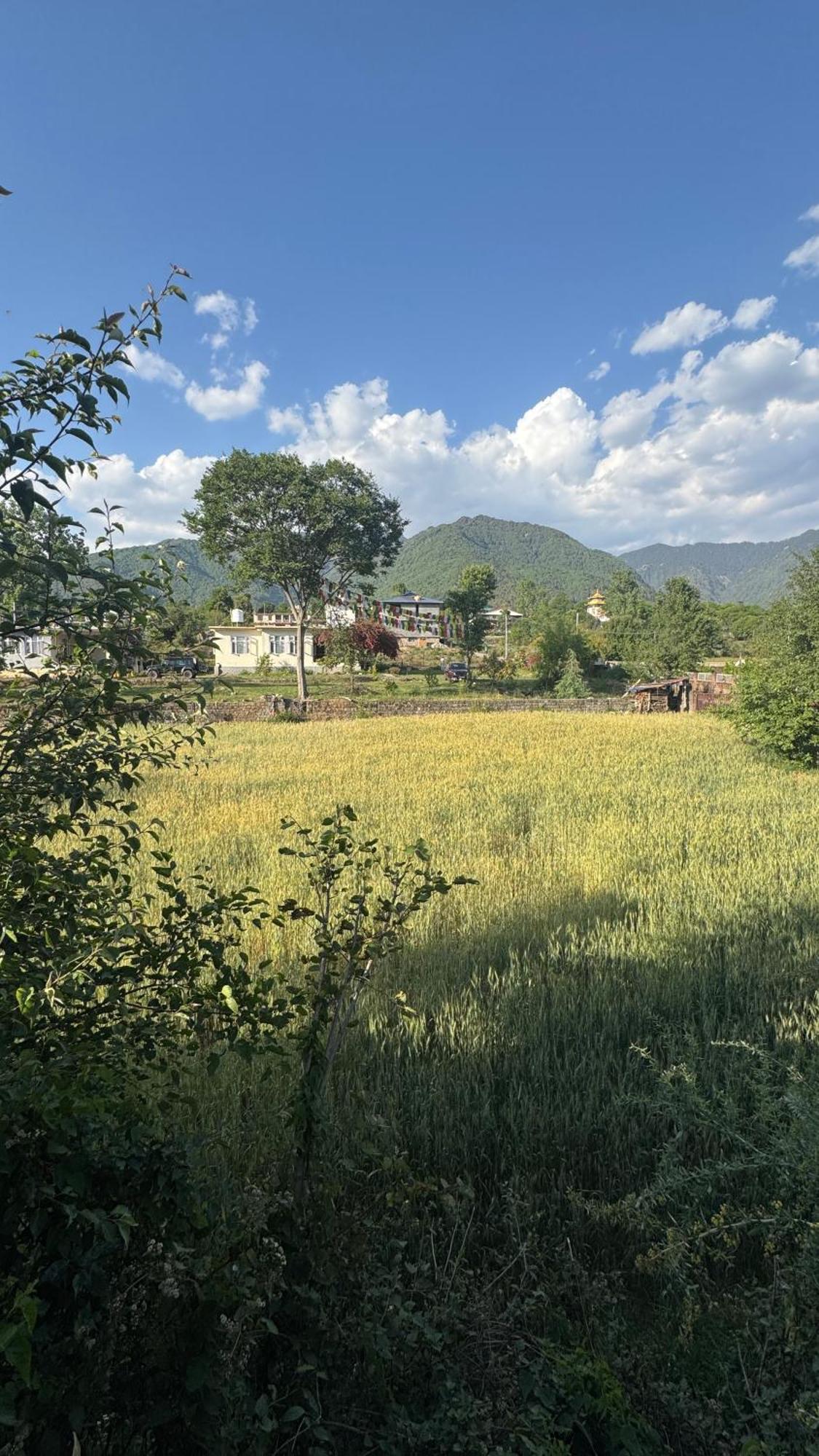 Namlang Resort Bir  Ngoại thất bức ảnh